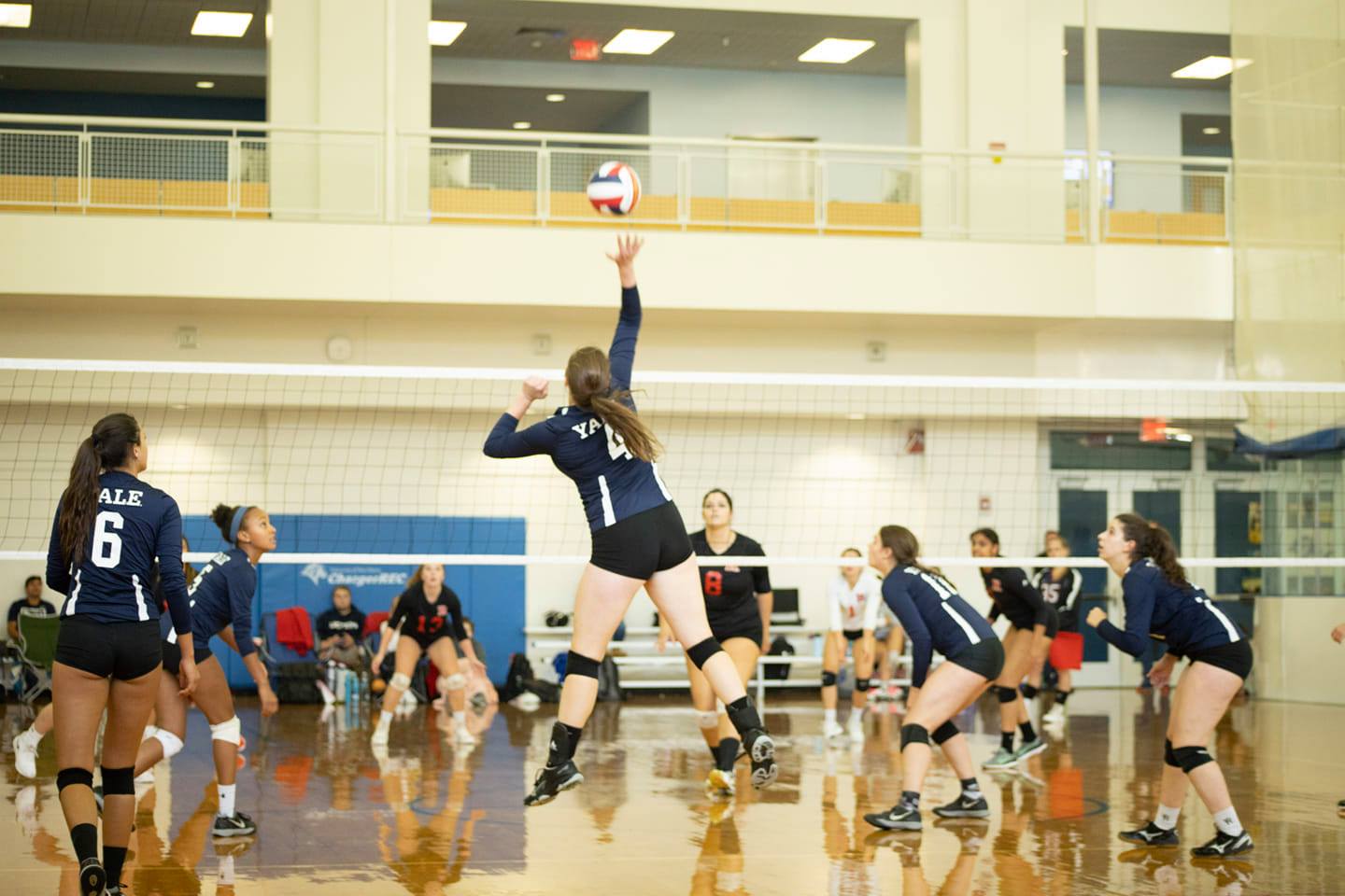 Yale Women's Volleyball 19-20